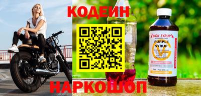 мдпв Кингисепп