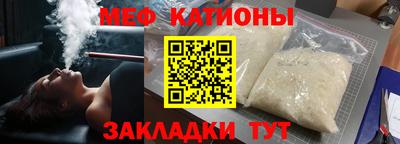 мдпв Кингисепп