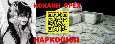 мдпв Кингисепп
