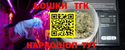 мдпв Кингисепп