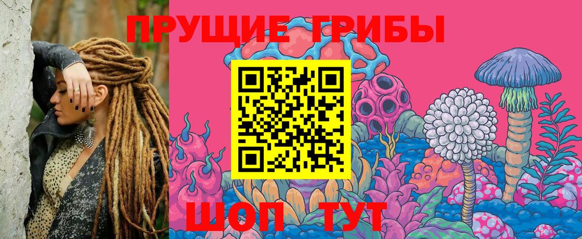 Истра  Галлюциногенные грибы Psilocybine cubensis  Псилоцибиновые грибы мухоморы  Вход с VPN 