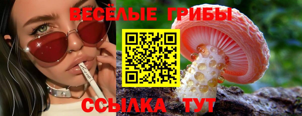 Псилоцибиновые грибы Psilocybine cubensis Истра